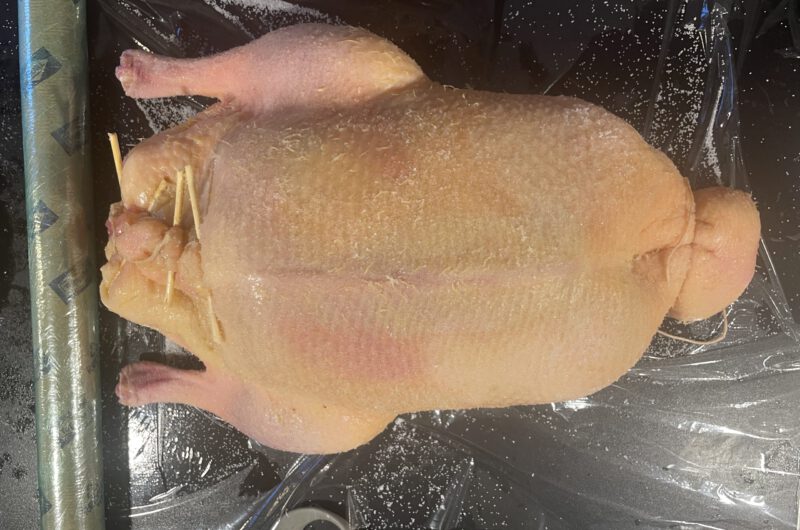 Niedrigtemperatur Ente
